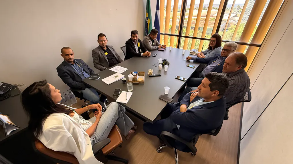 Vereadores de São José do Rio Claro reunidos à mesa com a chefe de gabinete Dani Couto, no gabinete do deputado Fábio Garcia, em Brasília